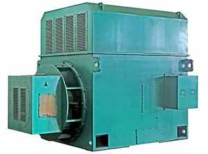 1754368906160071.jpg 300.jpg